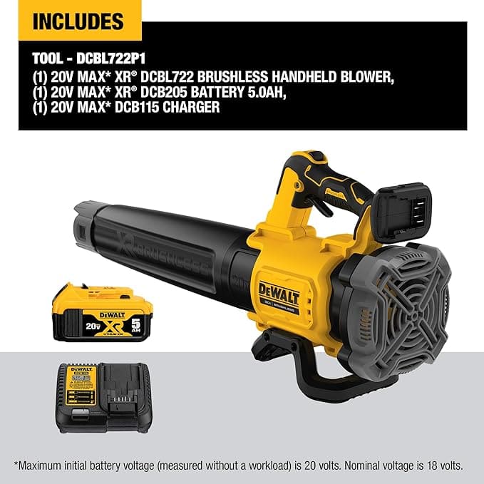 DEWALT | 20V MAX* XR® / Handheld Blower kid